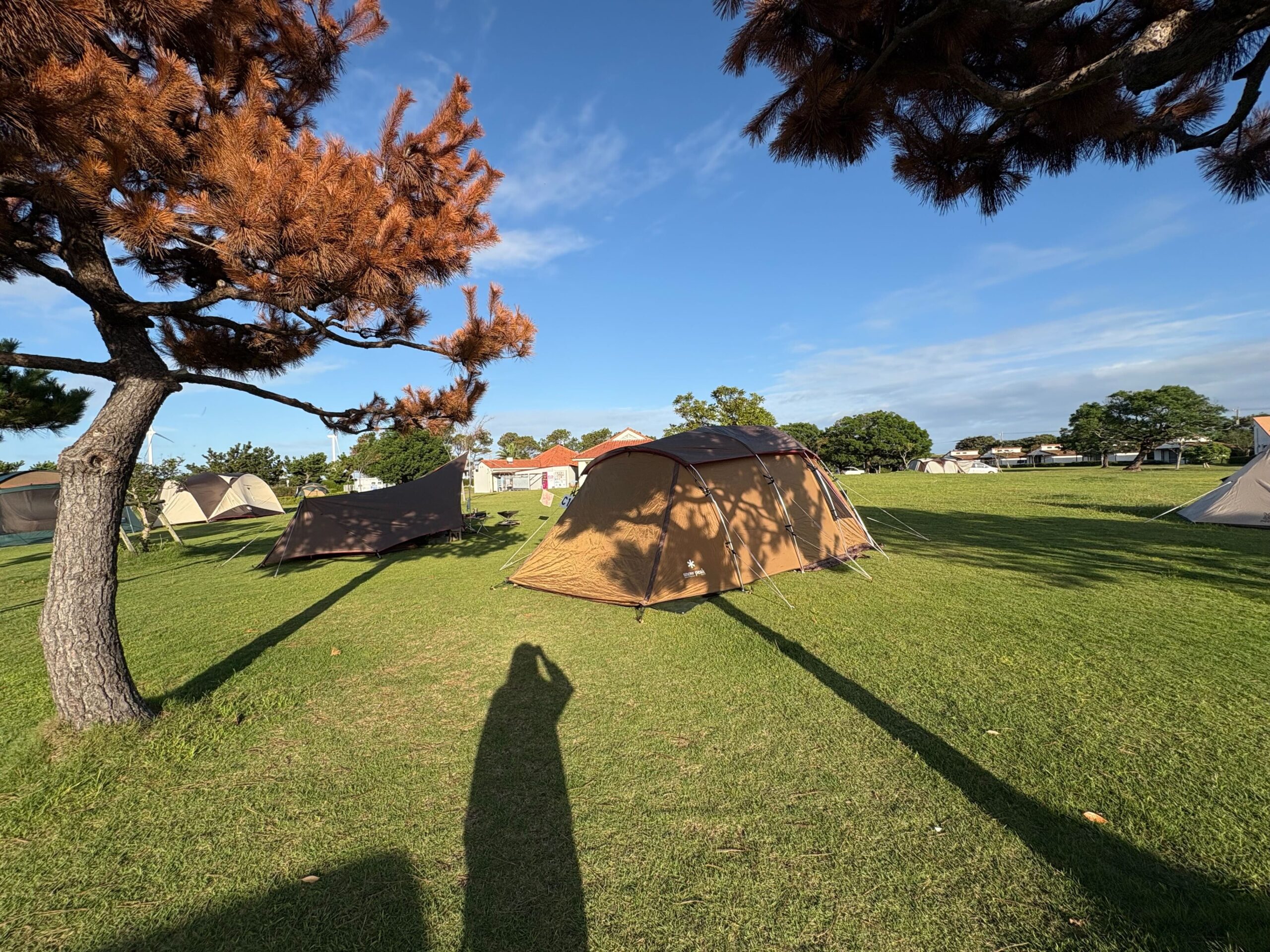 竜洋海洋公園オートキャンプ場のフリーサイト